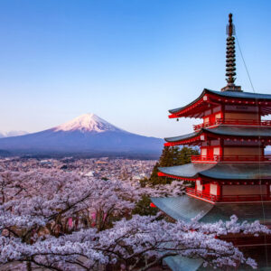 Japon Ilimitado - 7 Days